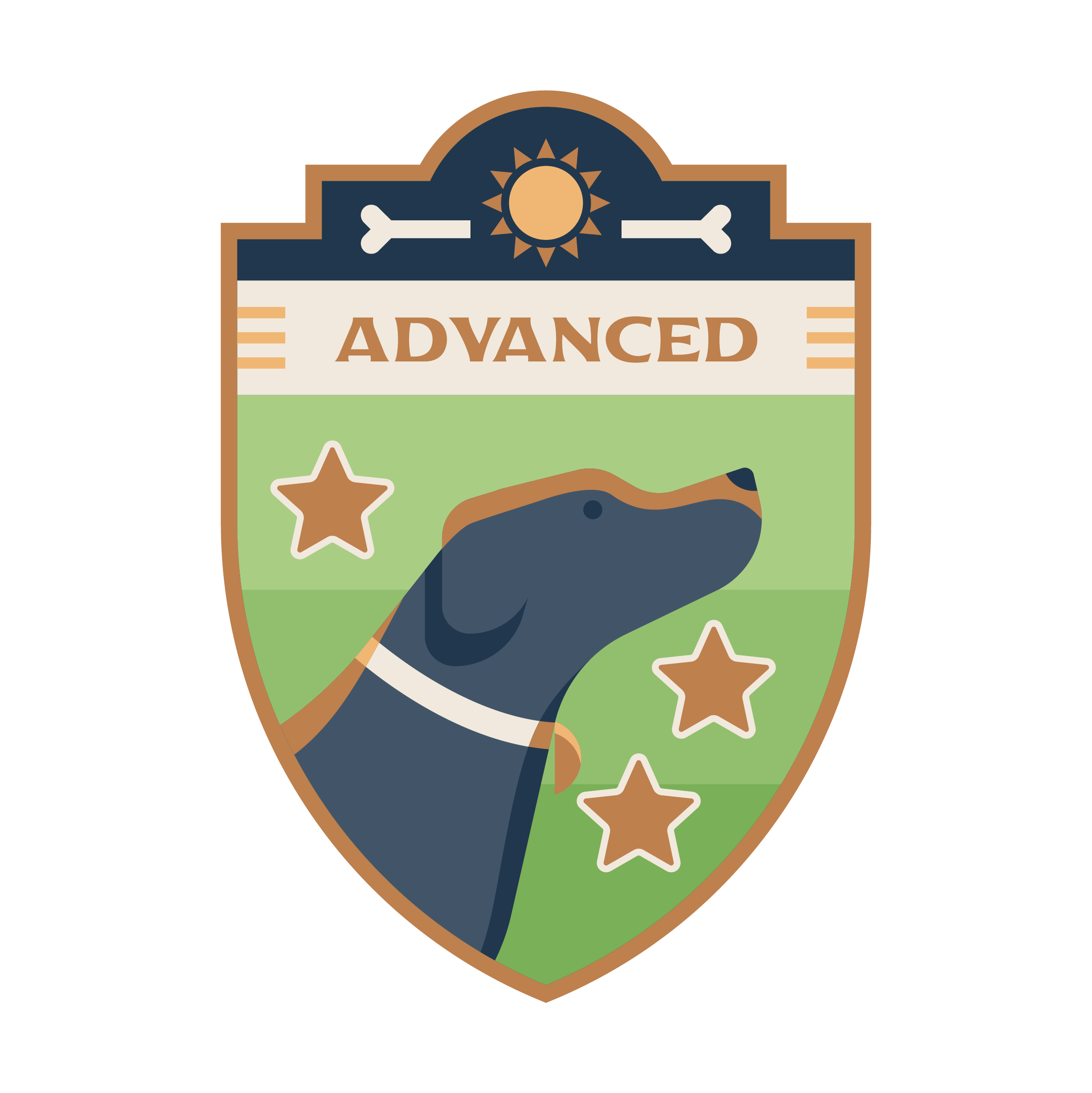 Advanced Level Achievement Badge at Crafty Canine Club