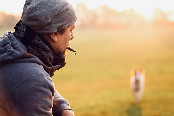 teaching your dog to come with a whistle