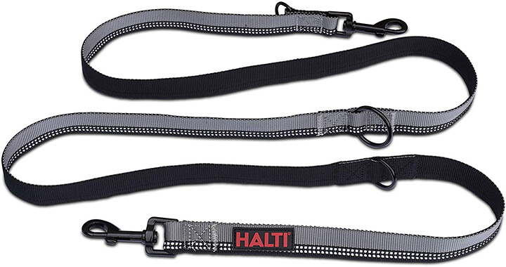 best dog leashes, Halti