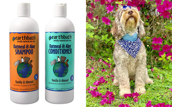 Best shampoo and conditioner for dogs: Earthbath