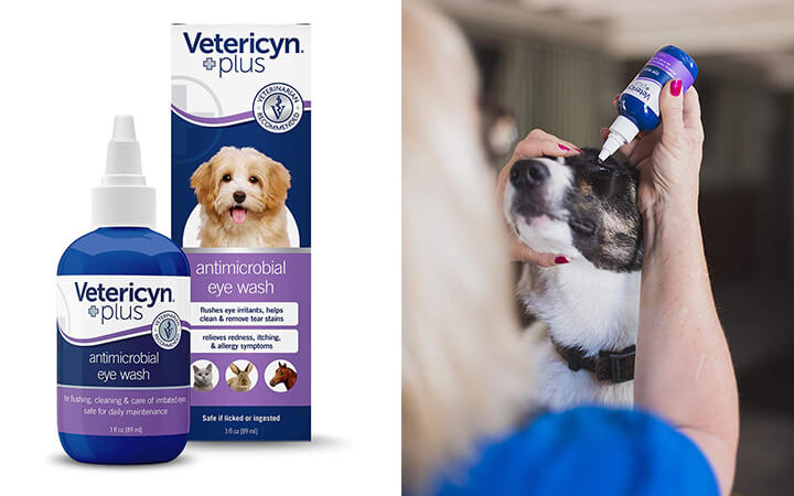Best eye wash for dogs: Vetericyn Antimicrobial Eye Wash
